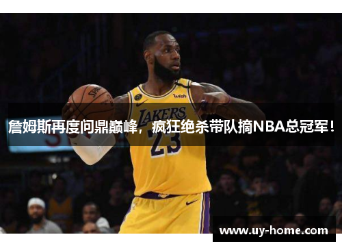 詹姆斯再度问鼎巅峰，疯狂绝杀带队摘NBA总冠军！